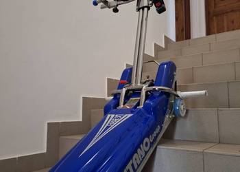 Schodołaz gąsiennicowy Antano LG 2004