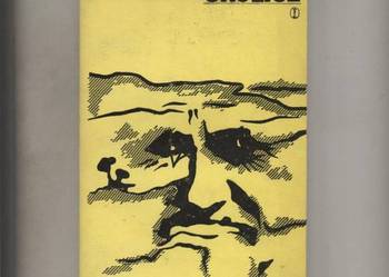 Okolice - Goytisilo Gay