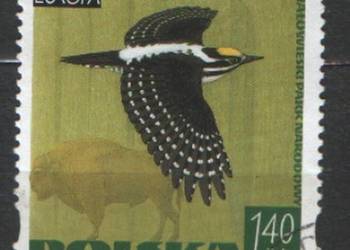 Zn. Fi 3615 kas  1999