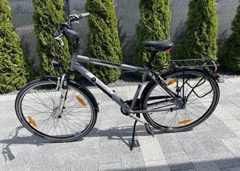 Pegasus Piazza Rower Męski 28 Damski