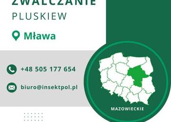 Zwalczanie pluskiew Mława - Odpluskwianie, Dezynsekcja