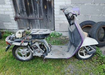Honda Tact 50