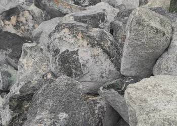 Bryła kamienna Zielona serpentynitowa. Ozdobna na skalniak, do oczka, itp