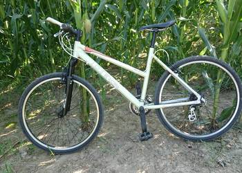 Rower DBS Edge 26" - Shimano, SR Suntur