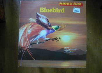 Bluebird