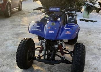 Quad 250