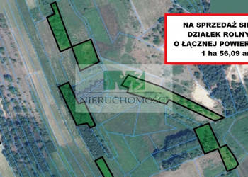 NA SPRZEDAŻ SIEDEM DZIAŁEK ROLNYCH W ŁĘTOWNI