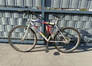 Rower Technobike 26"