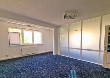 Ogłoszenie lokal Warszawa 250m2