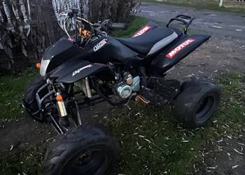Quad Bashan 250