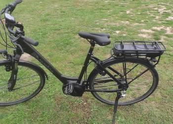 Rower ze wspomaganiem elektrycznym Riverside