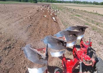 Pług obrotowy akpil km80