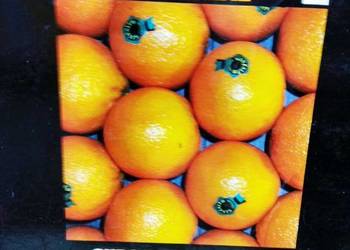 aula 1 hiszpański kursy językowe