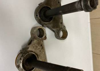 Półka dolna Pannonia Panonia