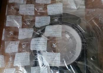 Peugeot 208 Citroen DS Opel uszczelniacz wału korbowego OEM