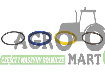 6000104439, 406739A1 ZESTAW USZCZELEK CLAAS