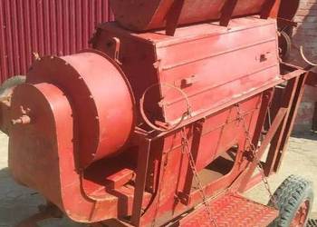 Bukownik do koniczyny