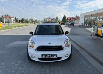 Mini Paceman