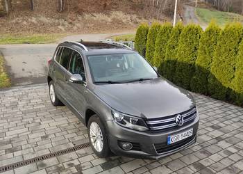 Tiguan  4x4 panorama