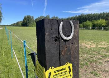 Pensjonat, wolny boks dla konia
