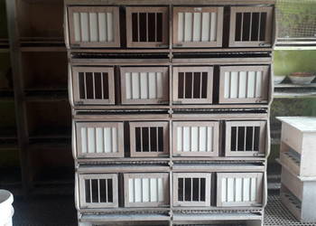 Gniazda lęgowe, regał import z Niemiec solidne- konkretne