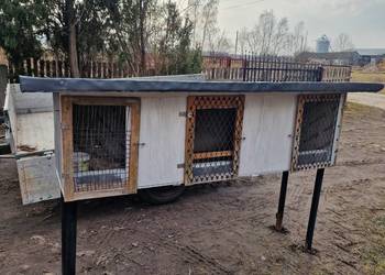 Klatka na króliki zające