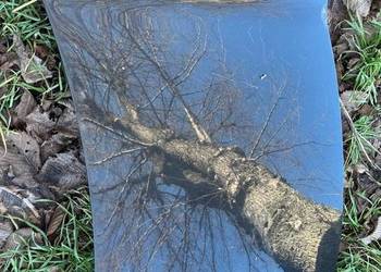 MASKA TOYOTA YARIS II