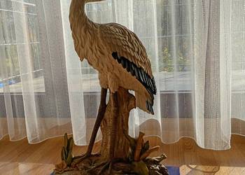 C Z A P L A  duża, jak żywa