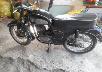 Shl m11 175