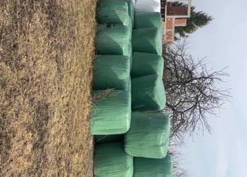 Kiszonki 2025 SPRZEDAM PILNIE