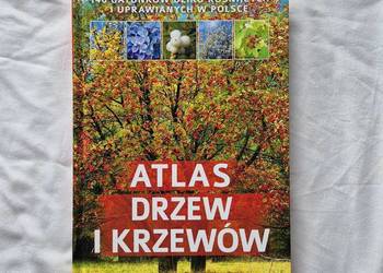 Atlas drzew i krzewów Polski, piękna książka botanika