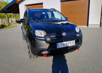 Fiat panda cross