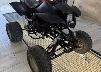 Quad Bashan 250