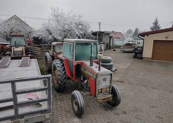 Ciągnik rolniczy Massey Ferguson 590 sprowadzony orginalny stan