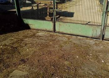 Sprzedam działkę budowlaną Bodzentyn