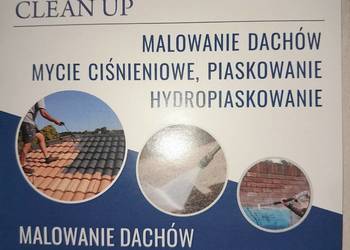 Mycie oraz malowanie dachów