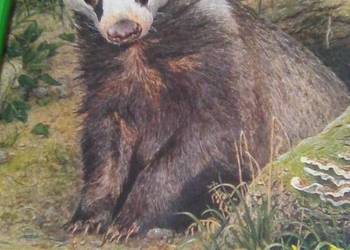 National Geographic Society