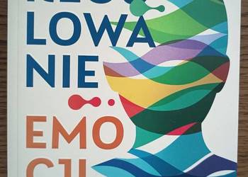 Nowa Regulowanie emocji Raja Selvam