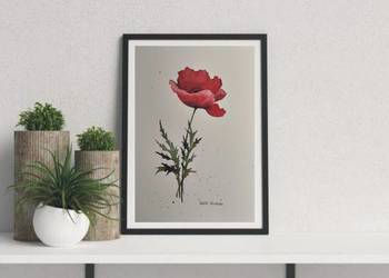 Akwarela Akwarelka Obraz pt: Czerwony Mak