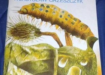 Skąd leci motyl - Władysław Grzeszczyk