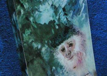 KSIĘGA DŻUNGLI Kipling FA