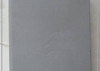 Dzieje i kultura ludów Azji Centralnej - Gafurow / Azja / historia