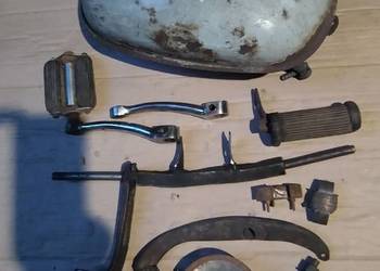 Żak ryś komar. Pedał owiec pozostałość.