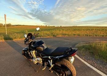 Suzuki gsf bandit 650 2008
