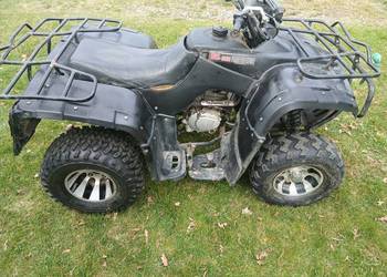 Quad 300ccm.