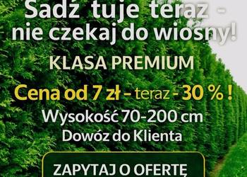 SPRZEDAM NAJŁADNIEJSZE ? TUJE SZMARAGD Wyjątkowa Oferta od 7 zł ?