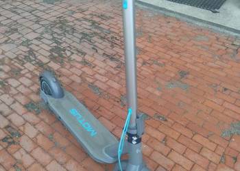 Motus Scotty 10