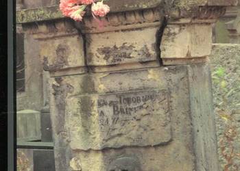 Za bramą wielkiej ciszy Z dziejów Powązek - Waldorff