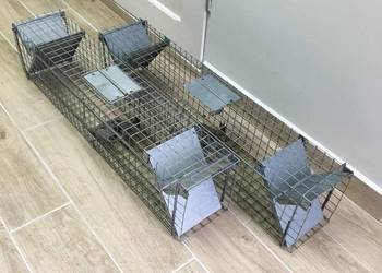 Pułapka na kune, łapka na kuny