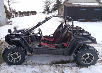 Buggy 750